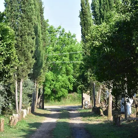Decri Oda ve Kahvaltı