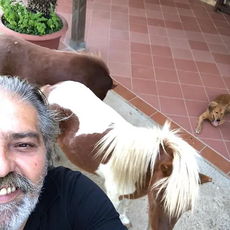 Oda ve Kahvaltı Decri Sparanise