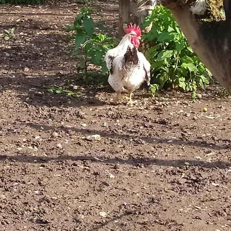 Bed & Breakfast Decri Sparanise