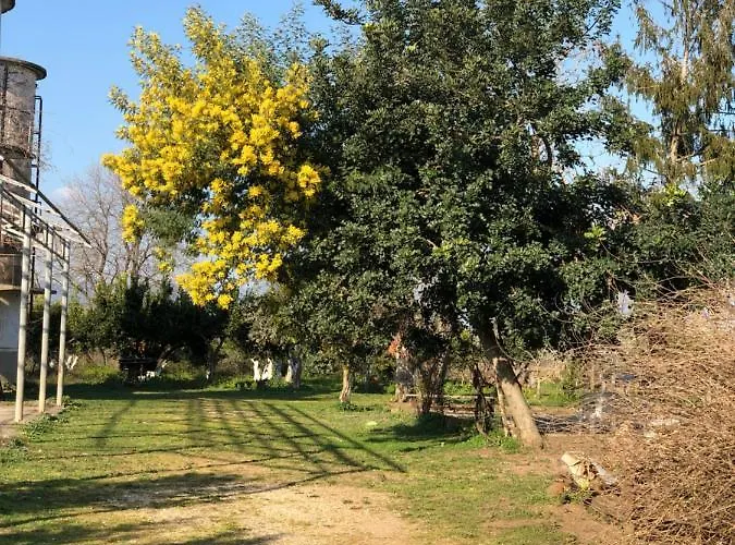Decri Sparanise