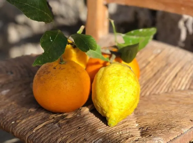 Decri לינה וארוחת בוקר Sparanise